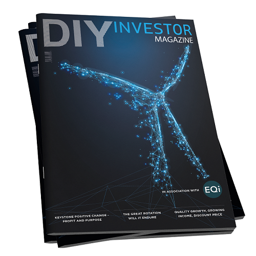 diy investing