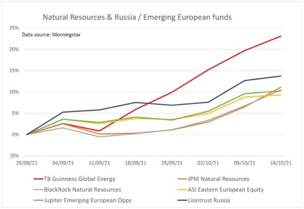 momentum investing